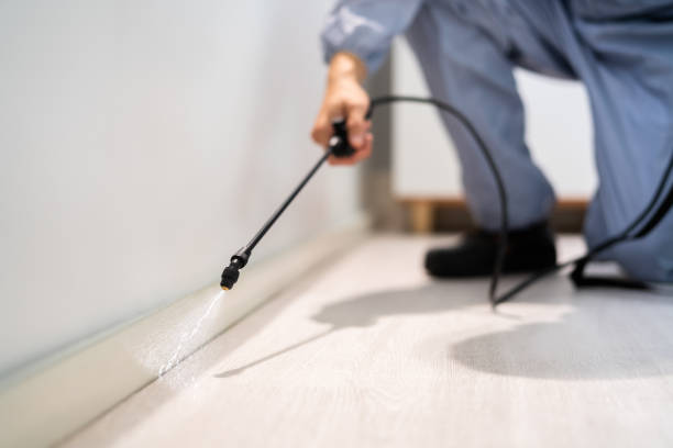 Licensed Mosquito Control service in Pittsfield, MA - Show Me Pest Control