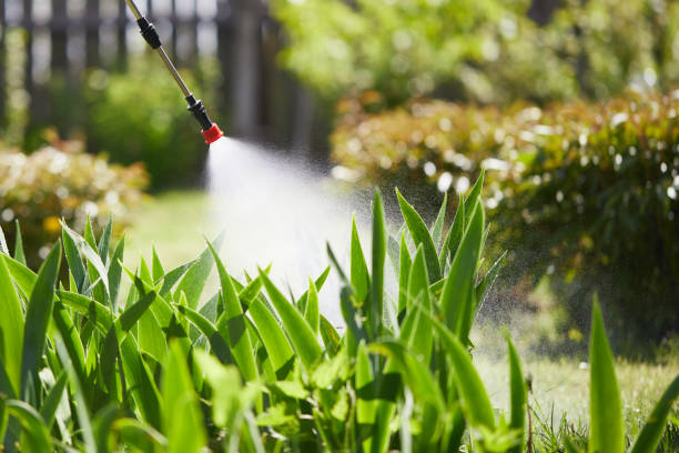 24/7 Emergency Mosquito Control experts in Pittsfield, MA